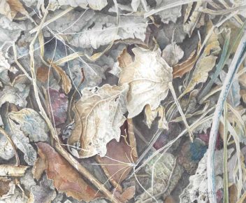 Leaf Litter